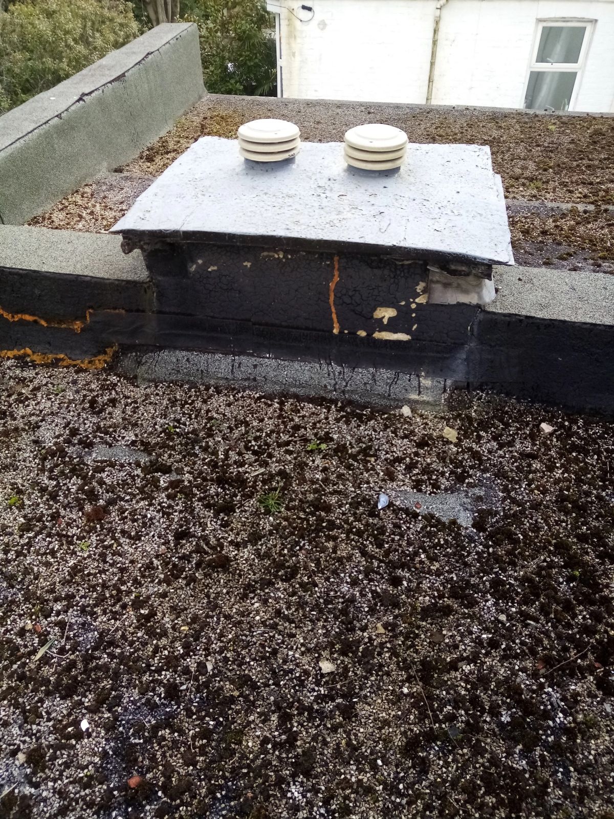 Newly installed flat roof with a ladder