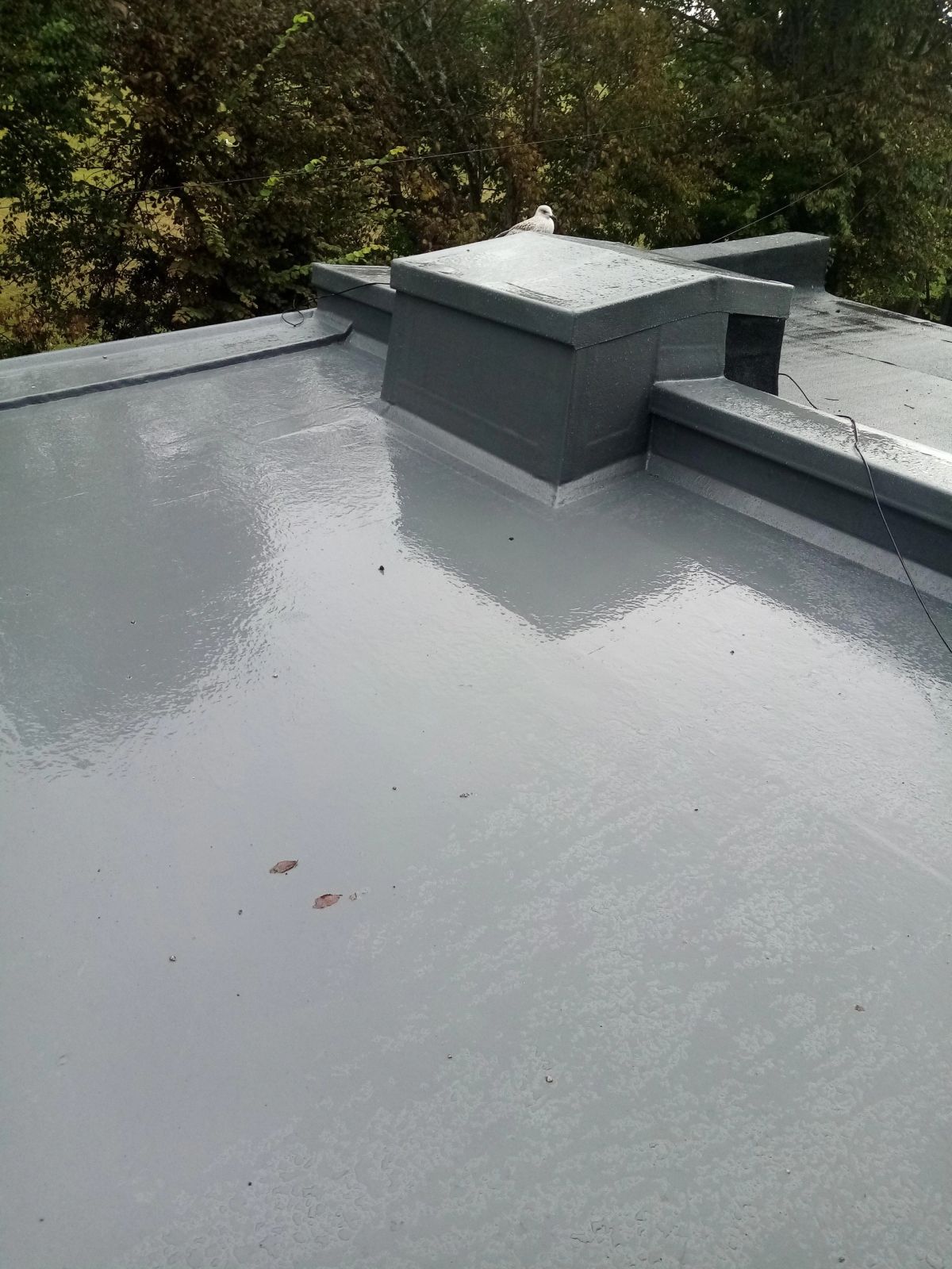 Completed flat roof replacement